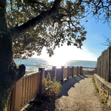 Le Logis Du Palmier Appartement