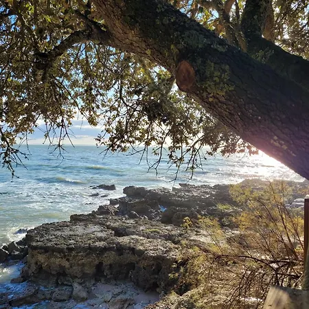 Le Logis Du Palmier *