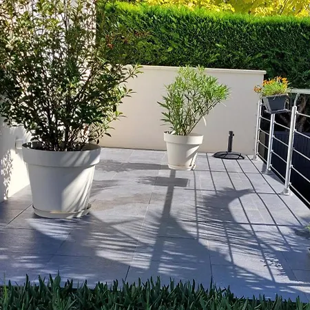 Le Logis Du Palmier * Breuillet (Charente-Maritime)