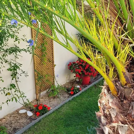Le Logis Du Palmier * Breuillet (Charente-Maritime)