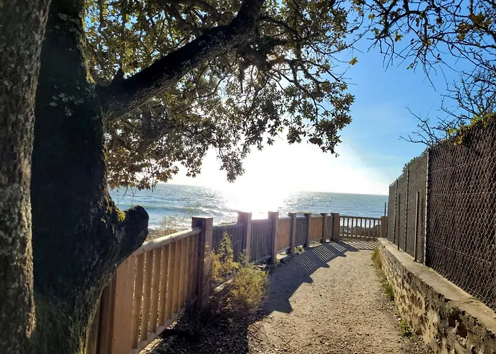 Le Logis Du Palmier Apartamento