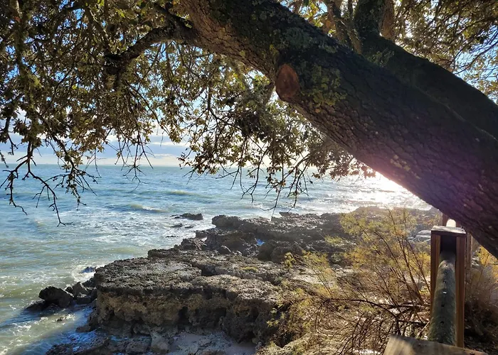 Le Logis Du Palmier *