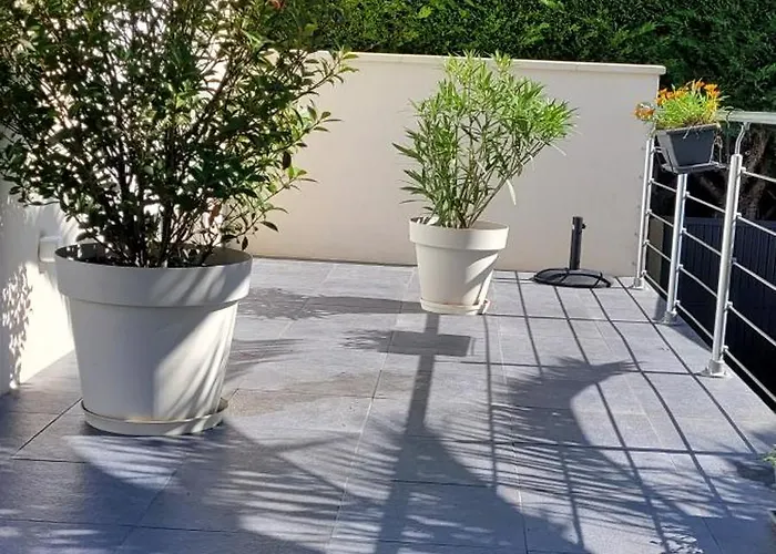 Le Logis Du Palmier * Breuillet (Charente-Maritime)