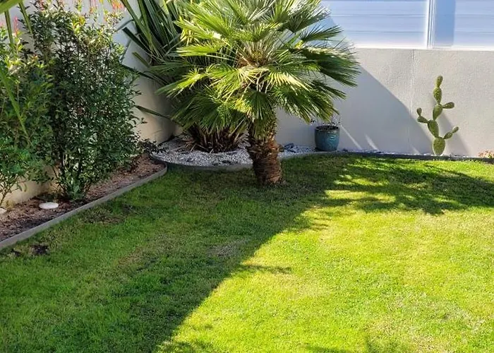 Le Logis Du Palmier Breuillet (Charente-Maritime)