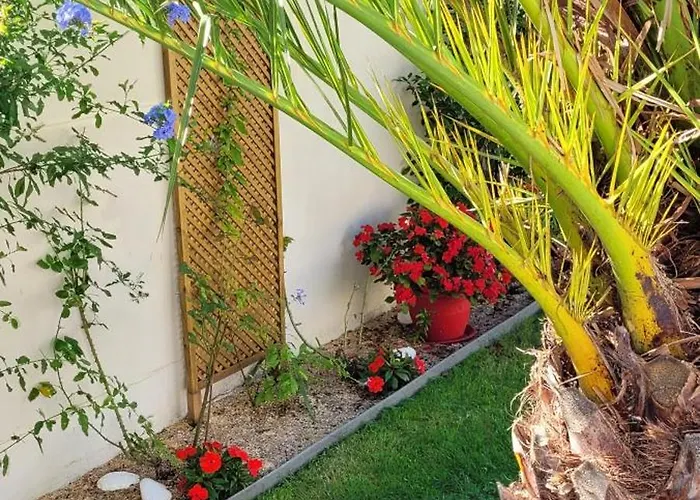 Le Logis Du Palmier * Breuillet (Charente-Maritime)